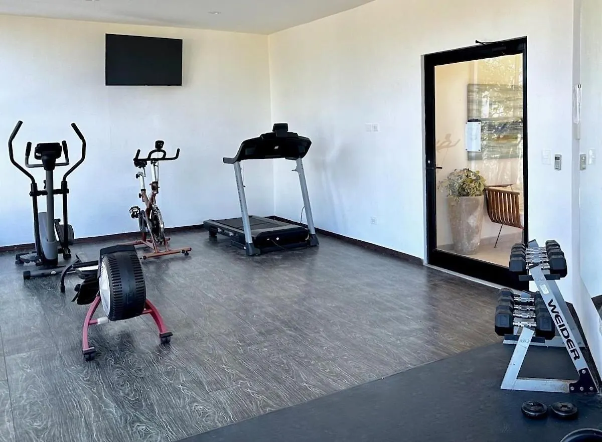 Estudio Con Piscina Privada | Gimnasio | Relax تولوم